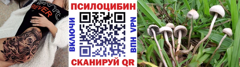 Псилоцибиновые грибы мухоморы  Калининград 